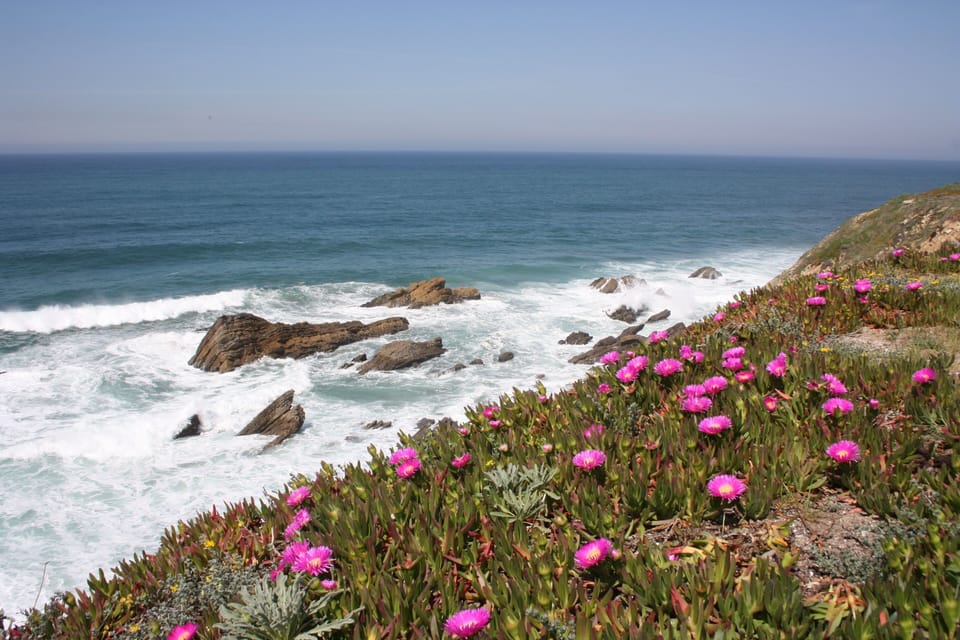 Silver Coast