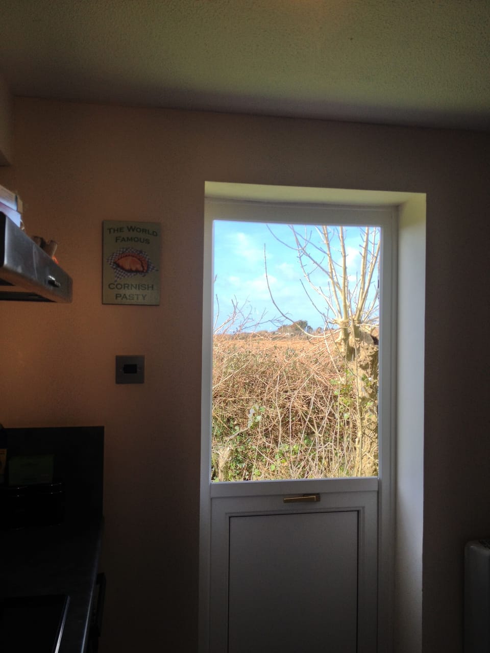 View from the back door