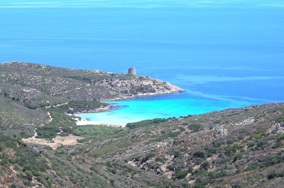Asinara island