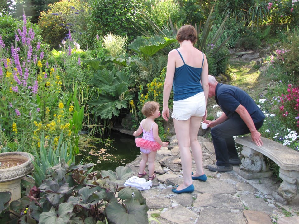 The gardens