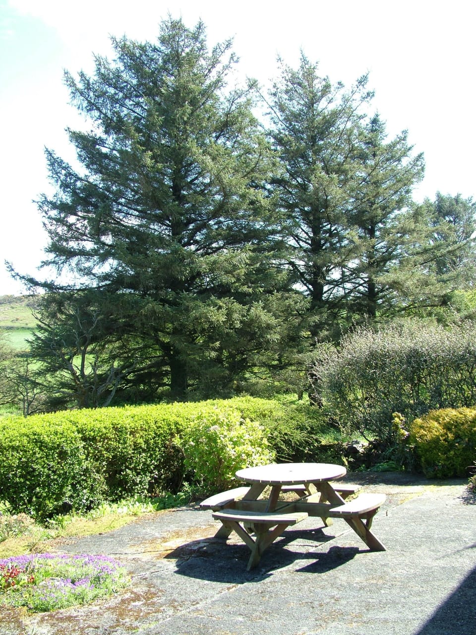Garnllys garden