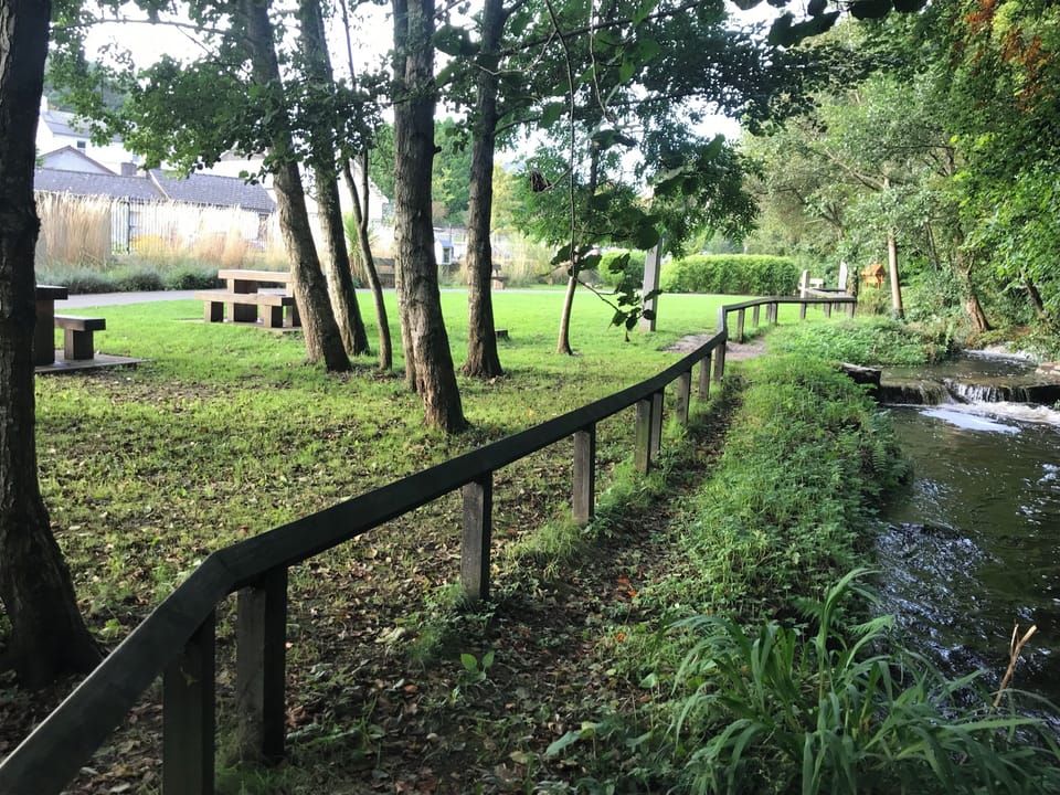Local Ashford Park