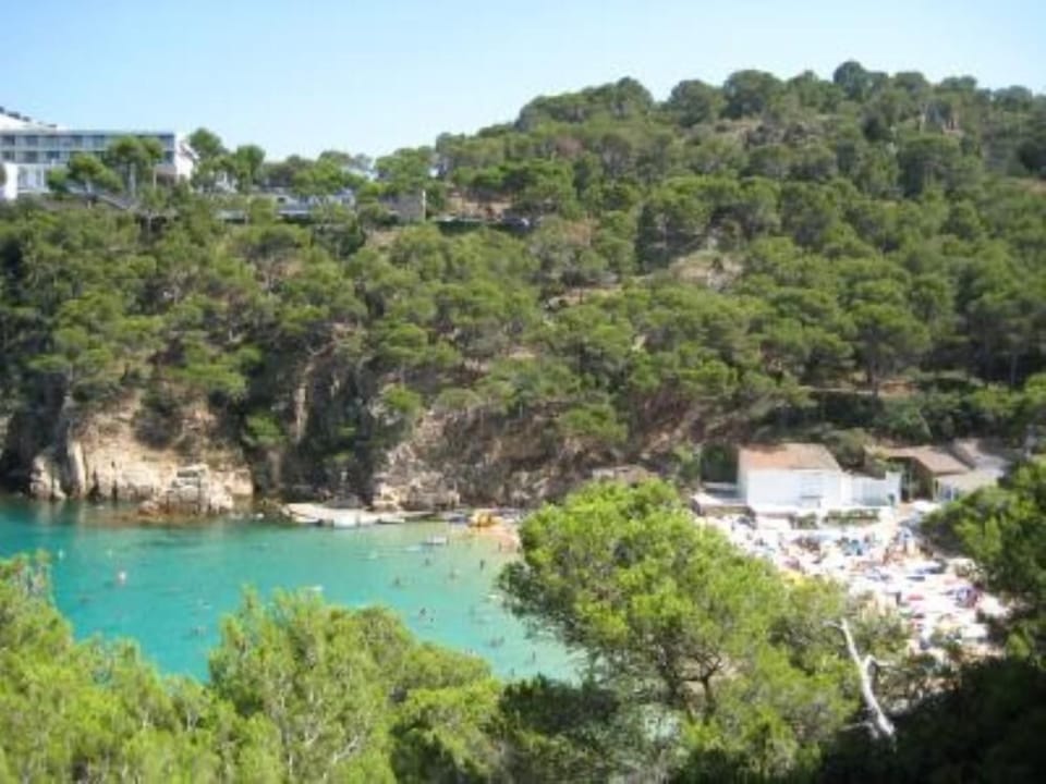 Beach view