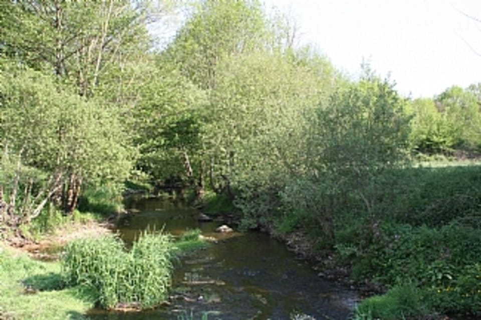 The river Asse surrounds the village.