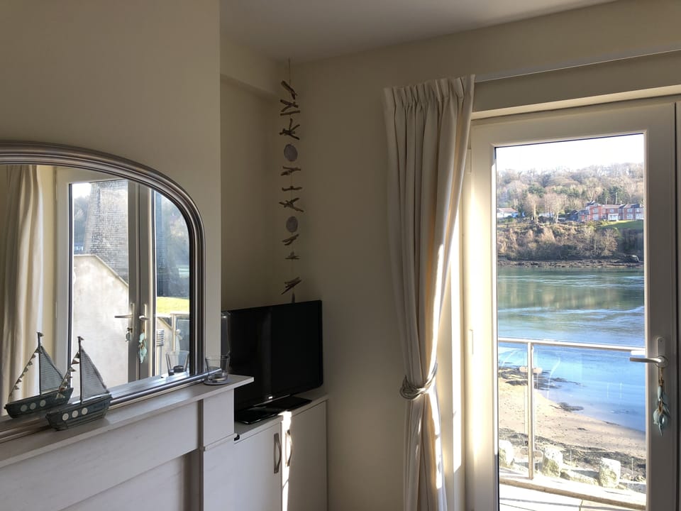 Nice cosy coal effect fire in the living room.