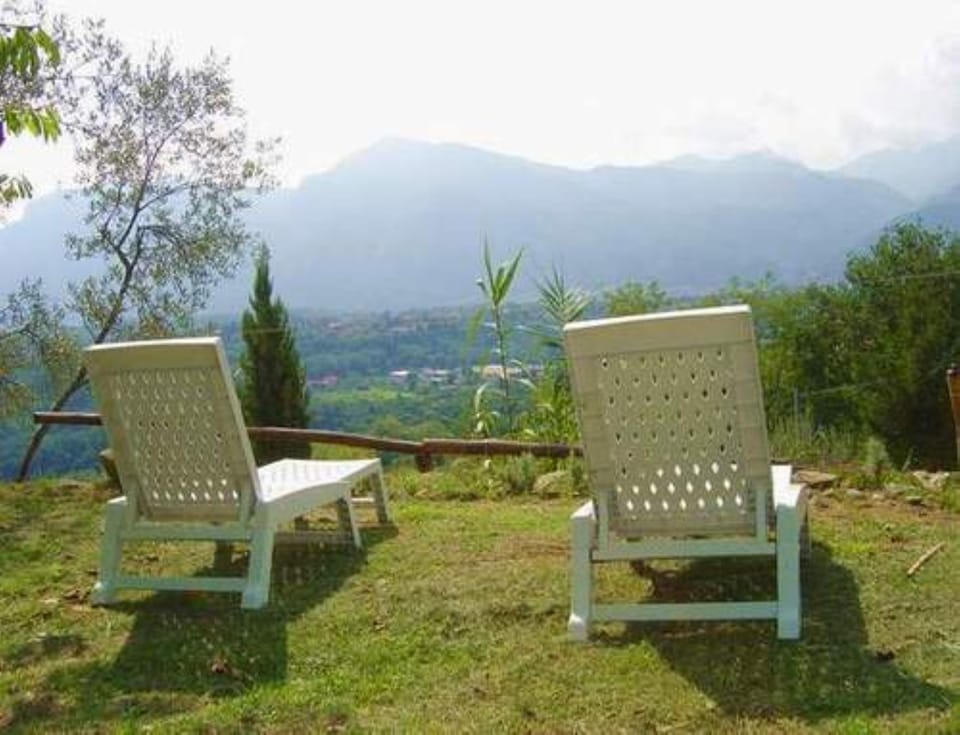 relaxing panoramic garden