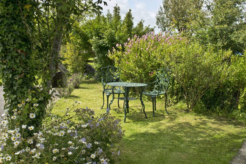 Riverside View Garden area