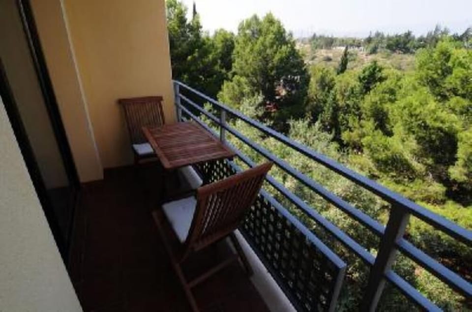 Terrace / Balcony