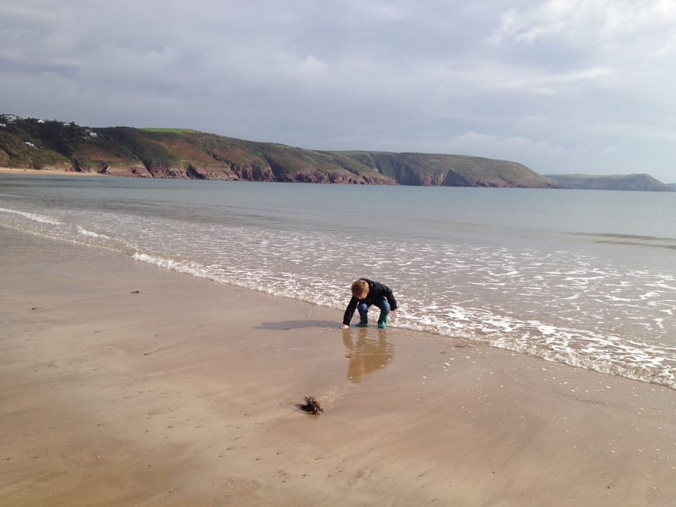Nearby Freshwater East Beach