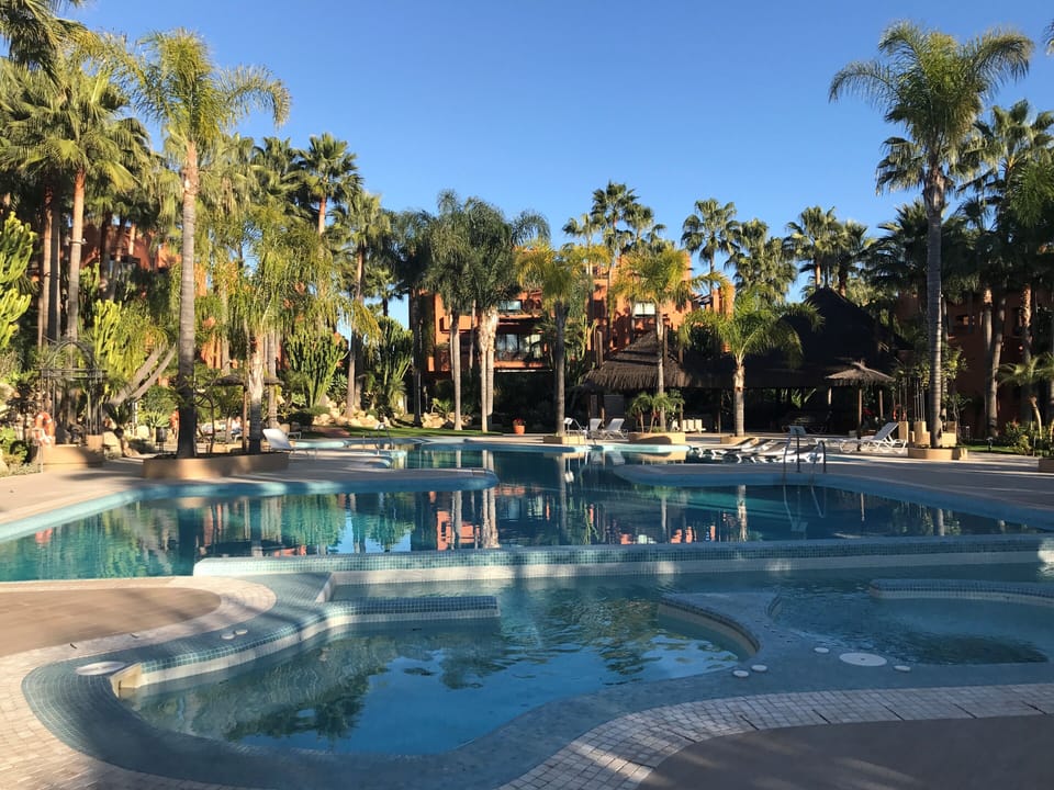 View of pool surrounded with gently swishing palm trees. 