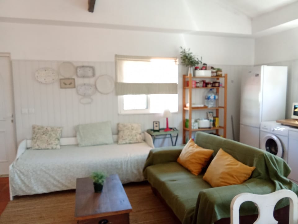 Living room / kitchen