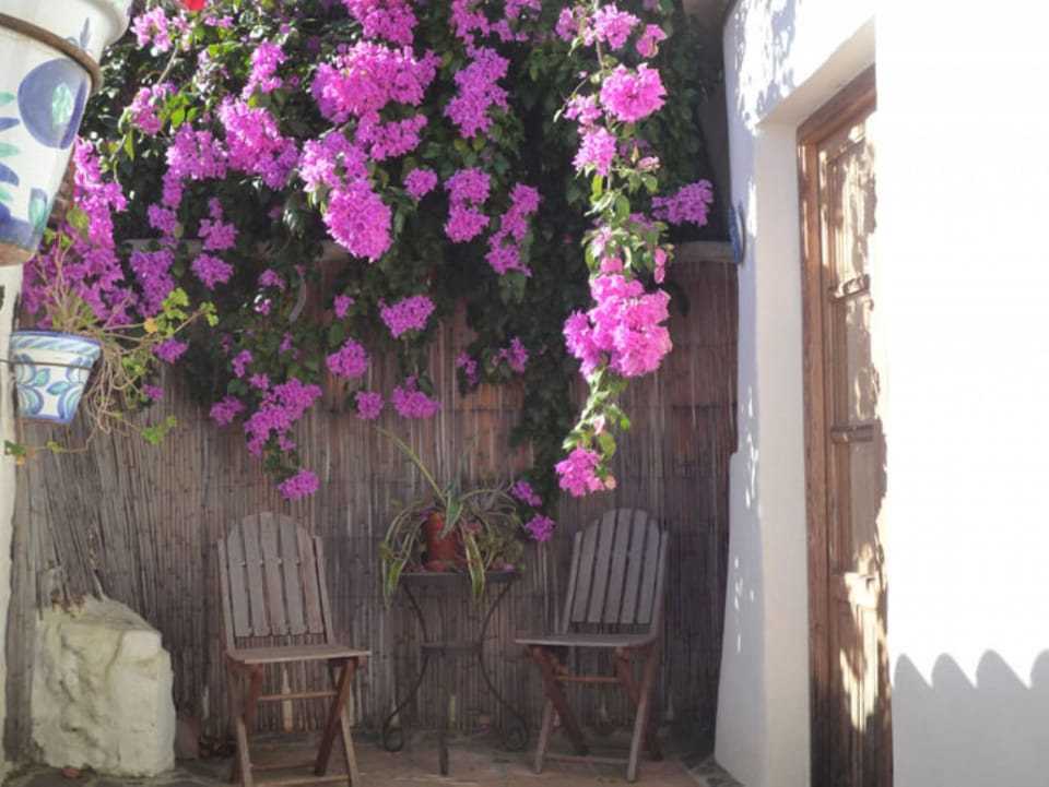 that opens onto an intimate, hidden patio
