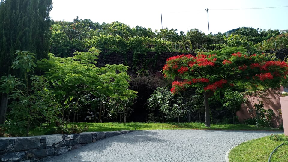 entrance garden
