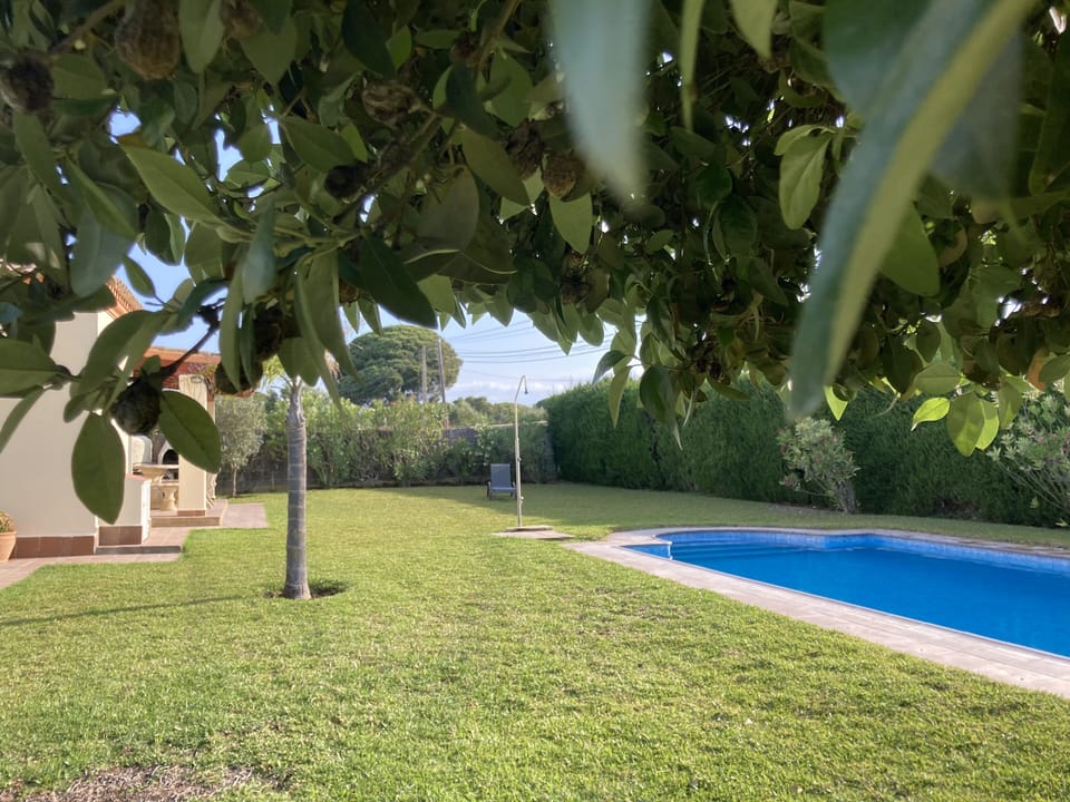 Garden & Pool