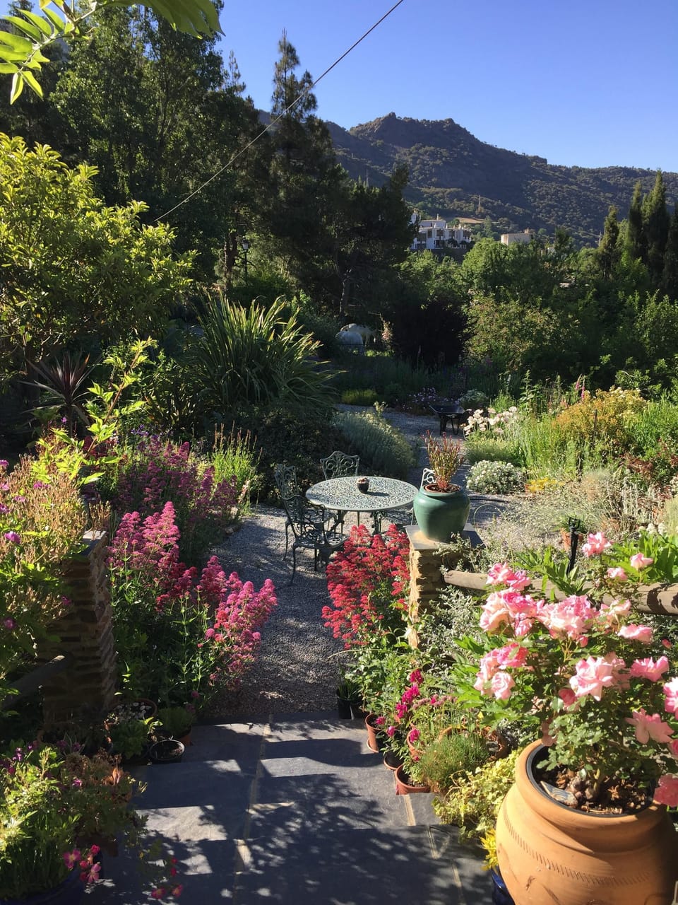 early morning view from front door