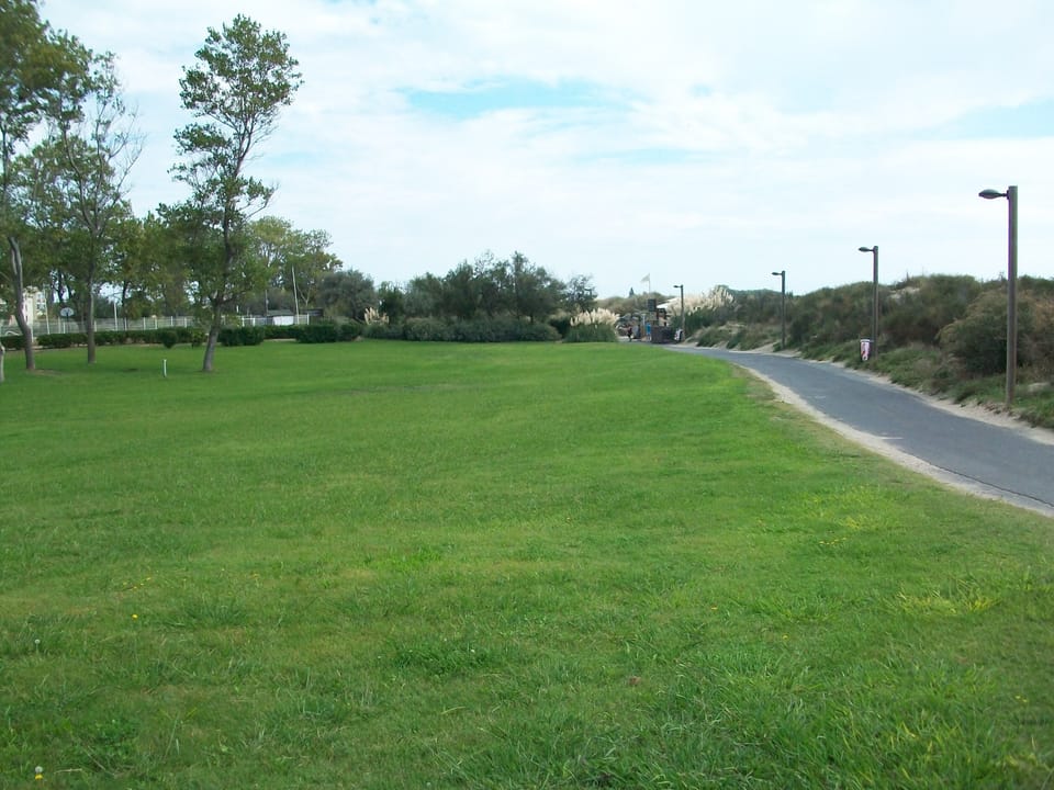 Pathway to the beach