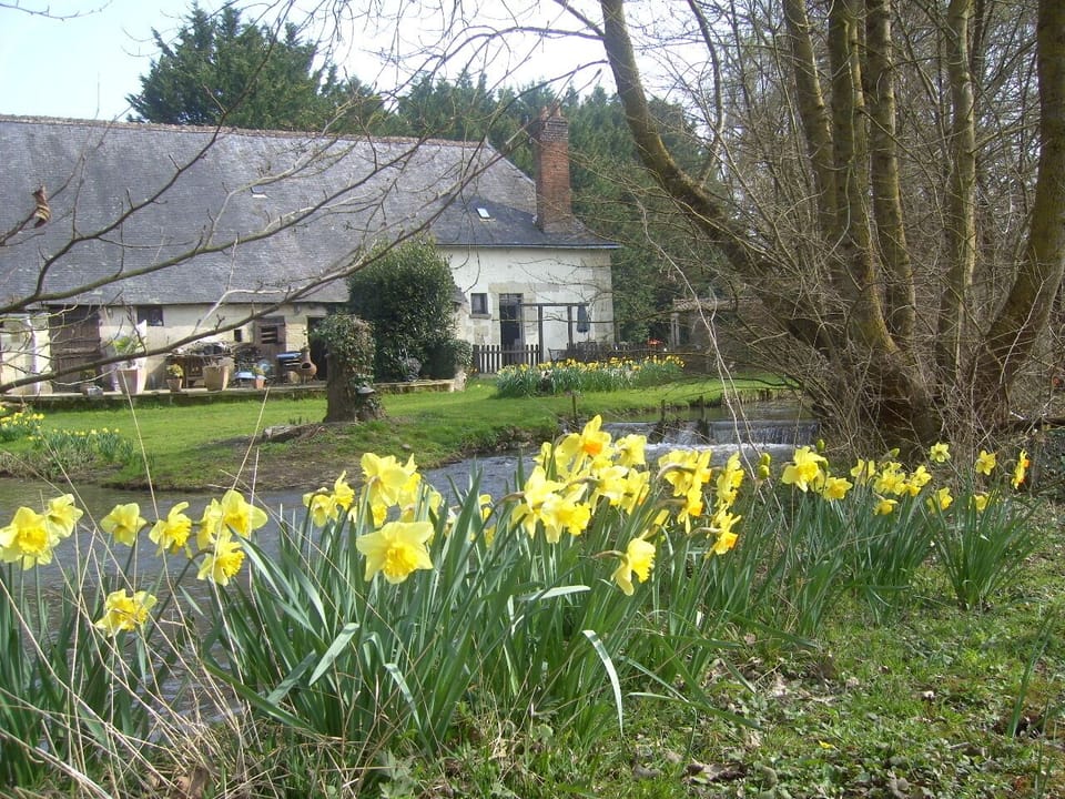 The cottage is shown on the right of the picture