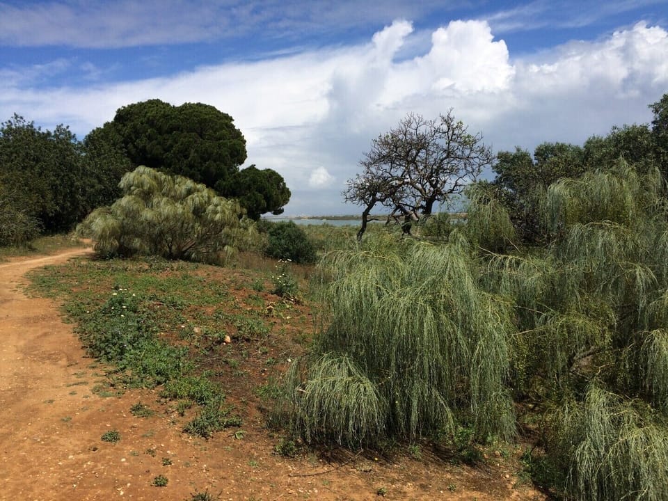 local walks
