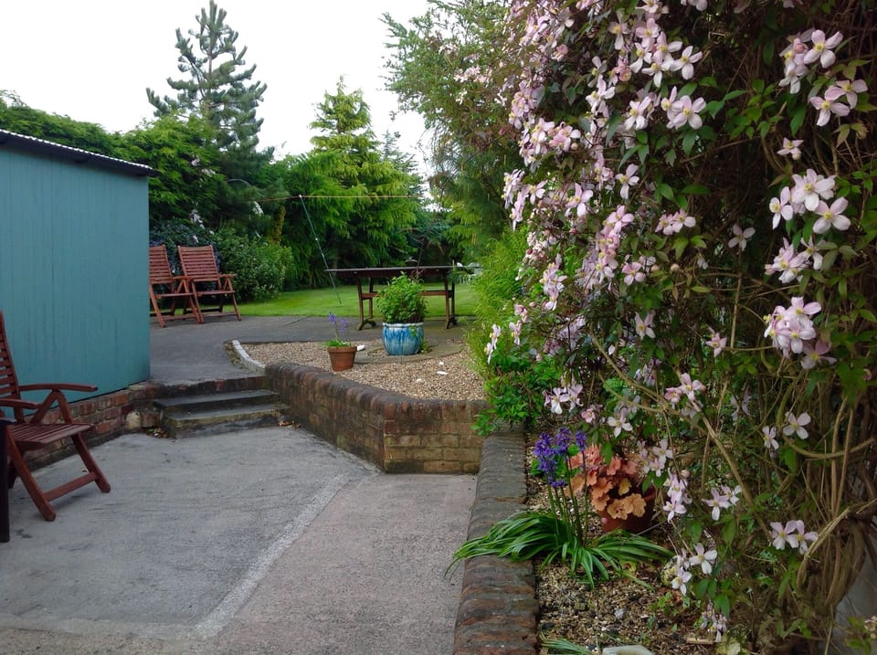 Courtyard and garden.