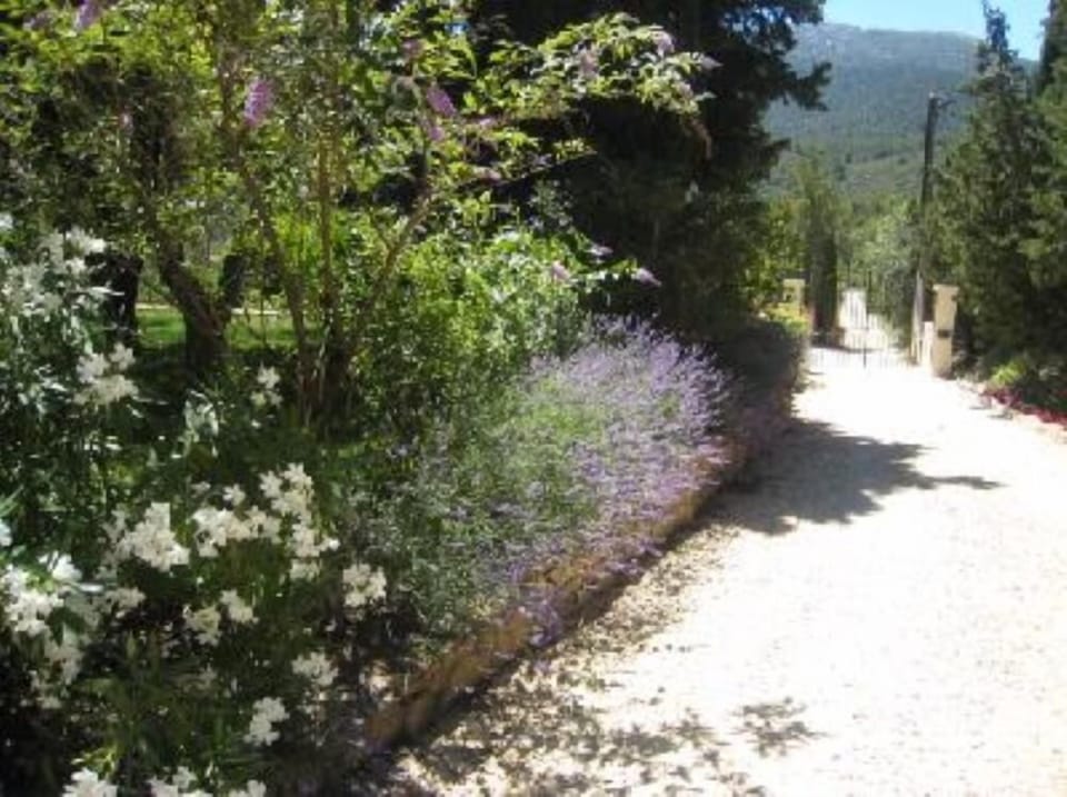Garden, Park