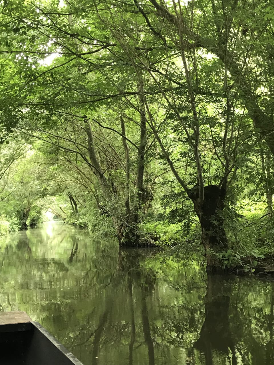 Floating down the marais poitevin....30 minutes from La Fuie