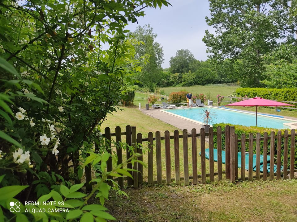The solar-heated Pool