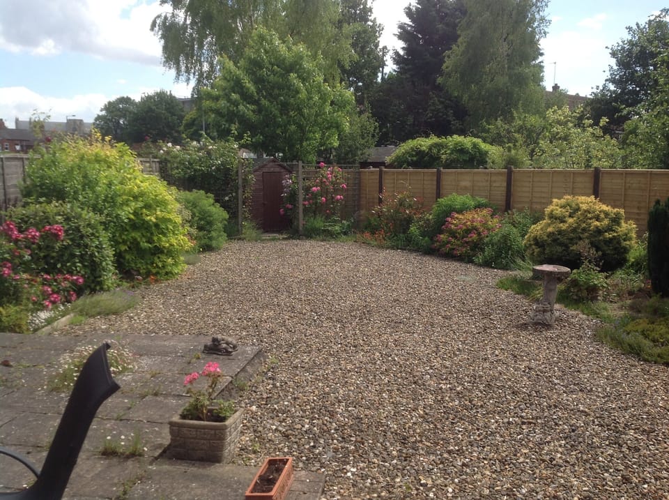 Sunny south facing garden
