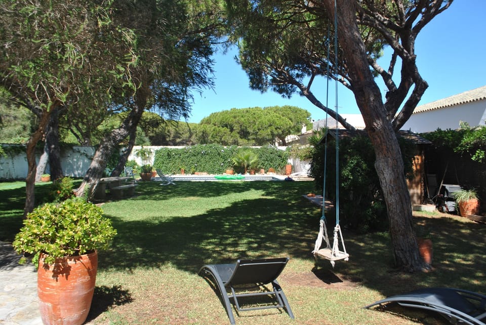 Back garden and the pool