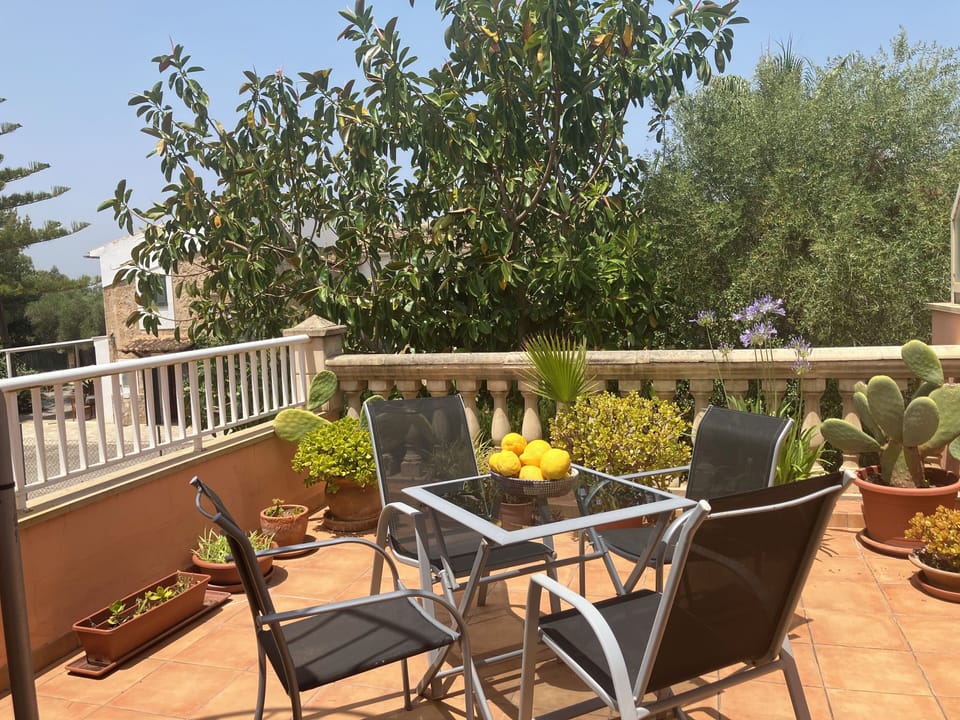Back patio, great for sundowners