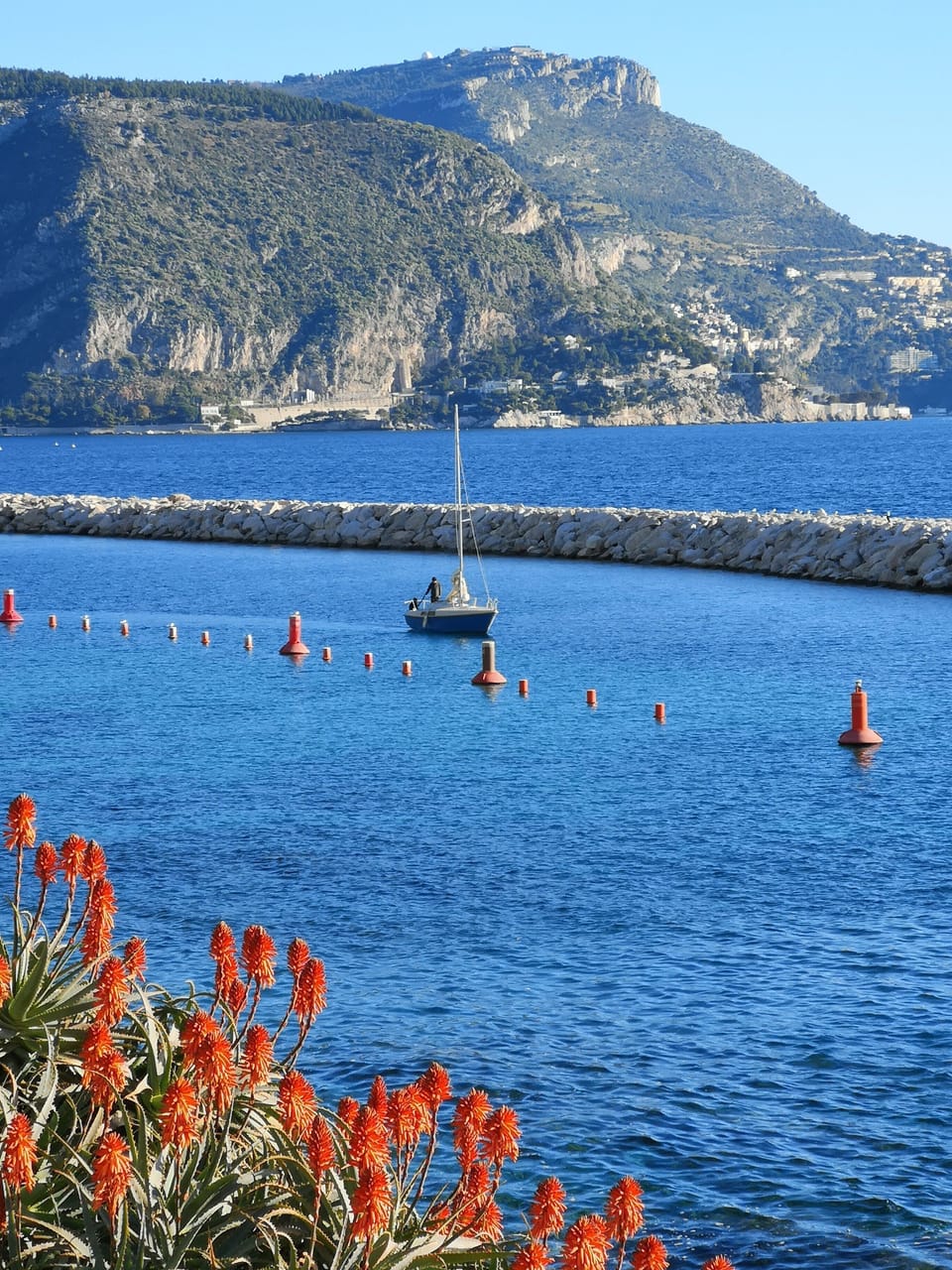 Harbour of Beaulieu sur mer.