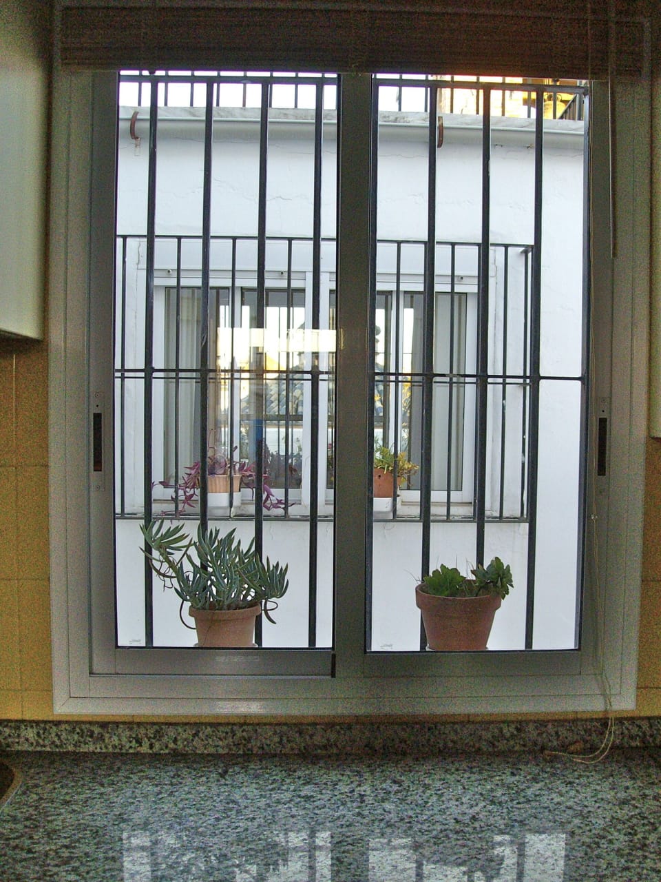 Windows are aligned for cross breeze