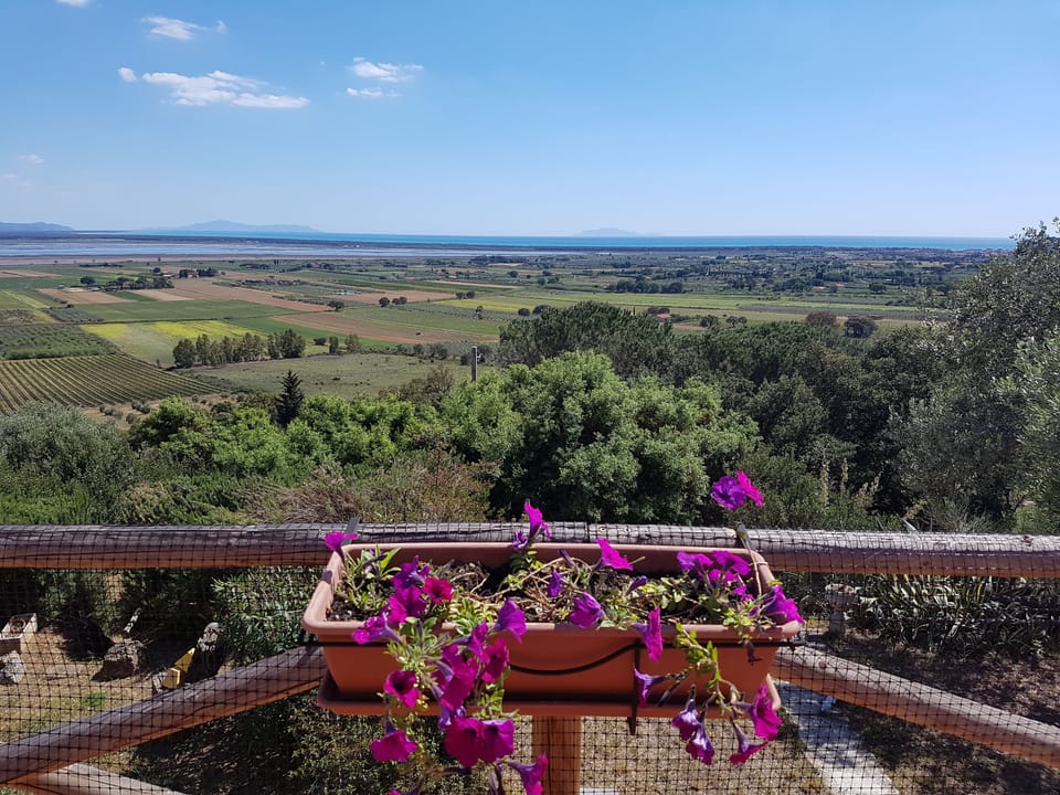 View from property