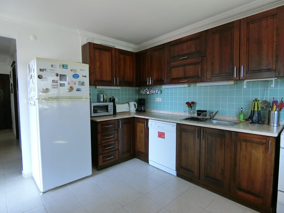 Kitchen with fridge, microwave, dishwasher