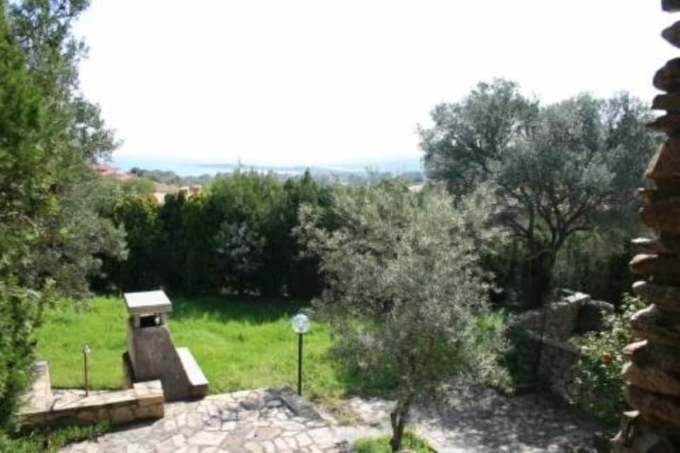 Garden, Park