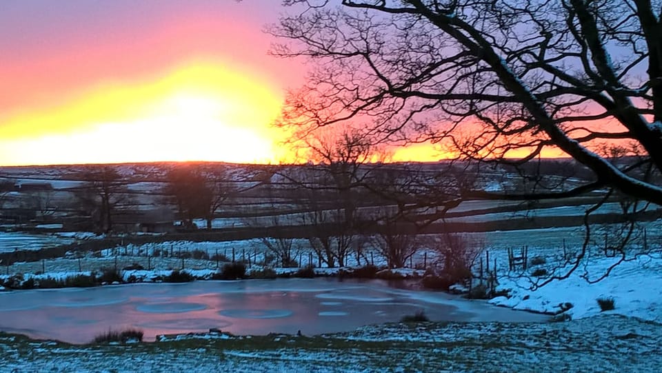 Peaceful surroundings 