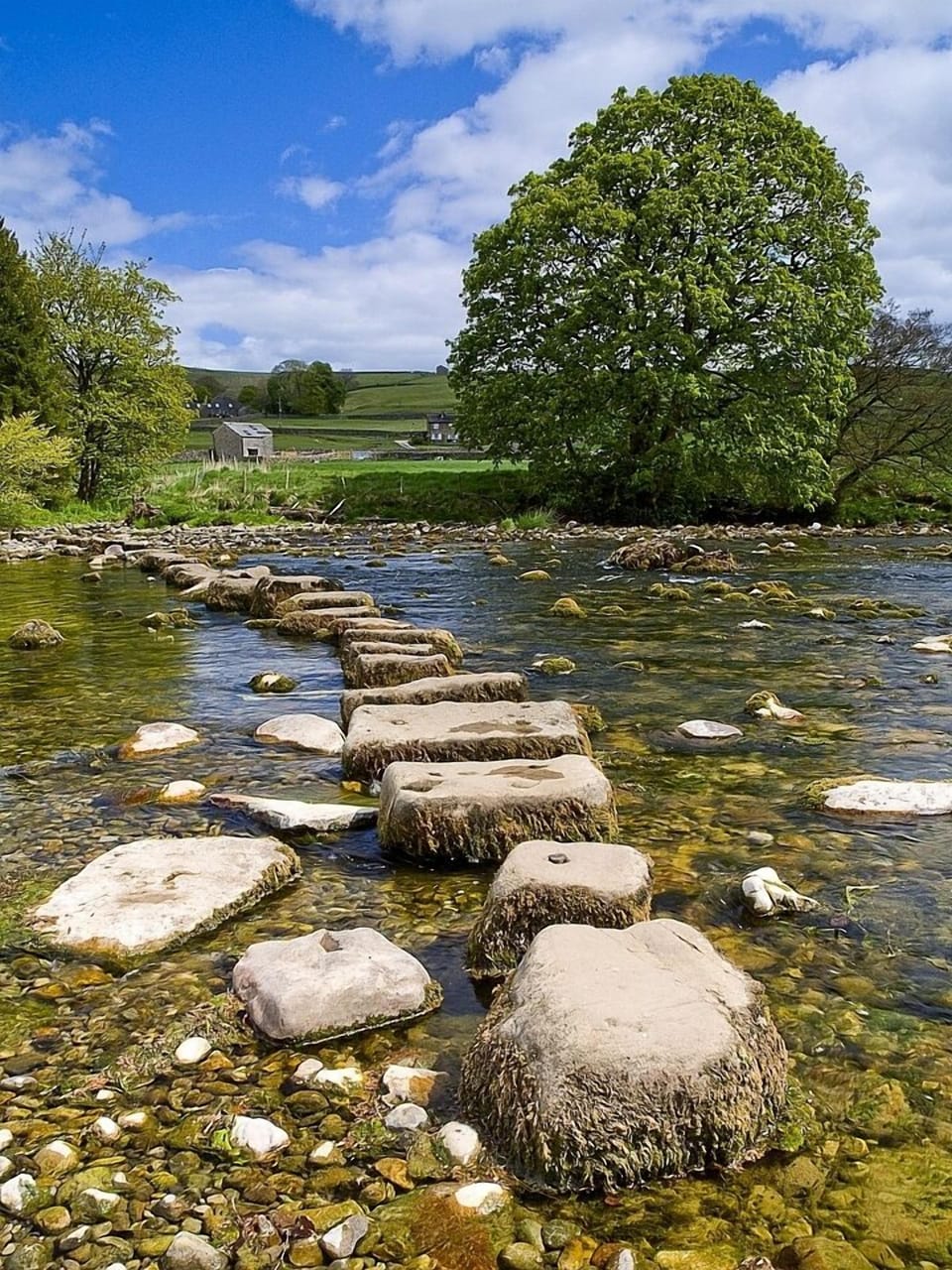 Stepping Stones