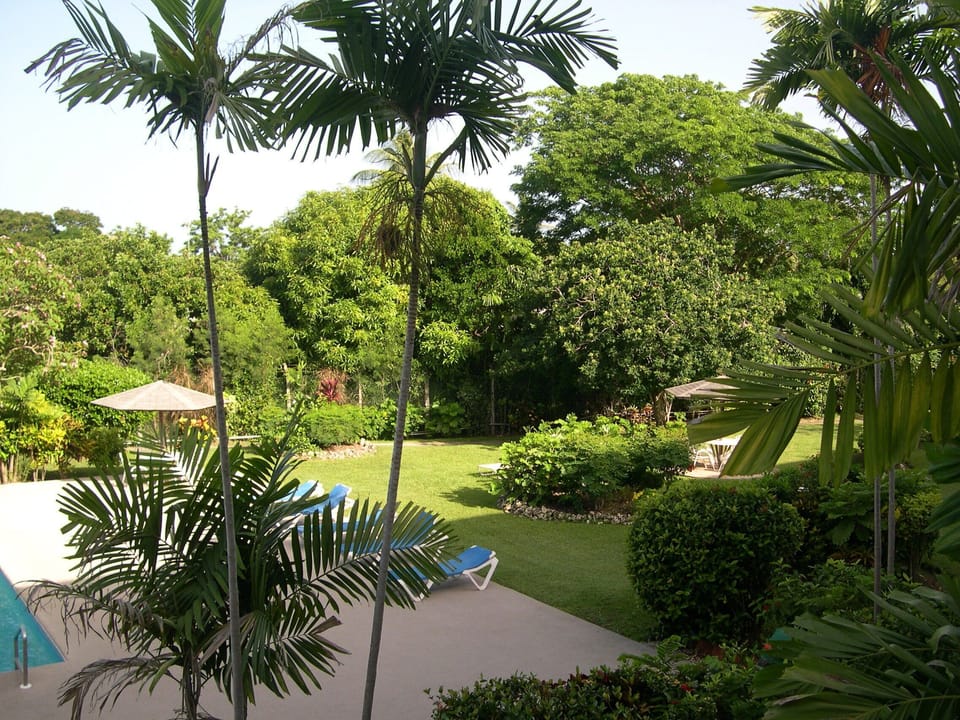 View to the right from our balcony. Look out for the early morning monkey visit.