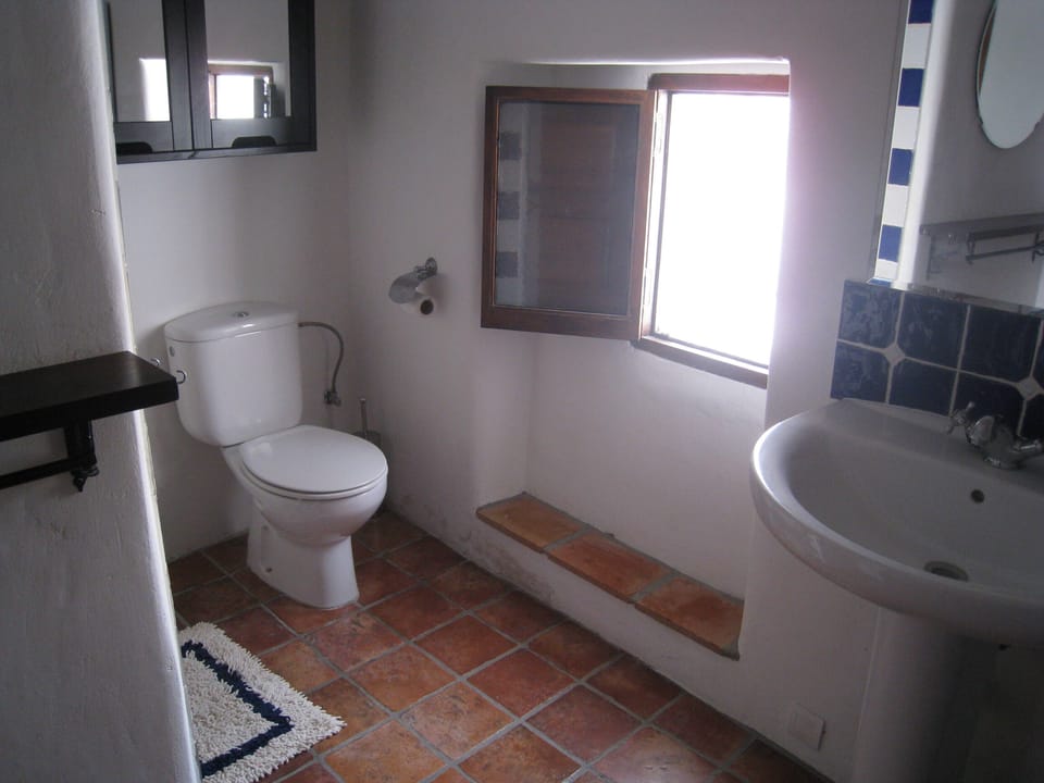 The bathroom has a shower and bath.