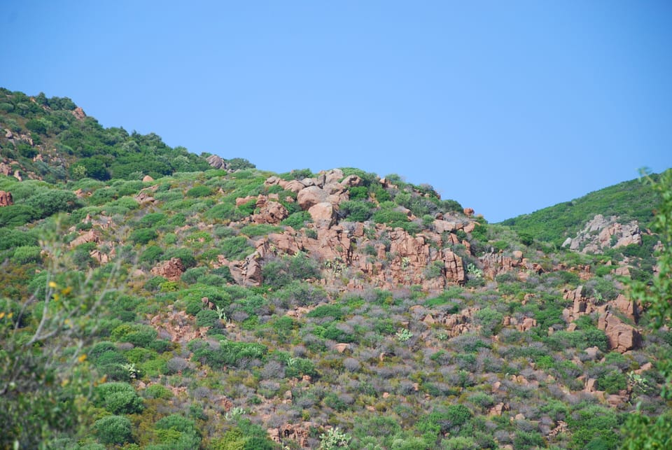 Mountains that rise behind the house
