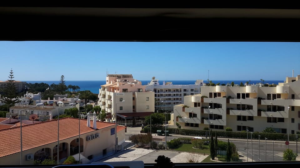 The view from the kitchen window!