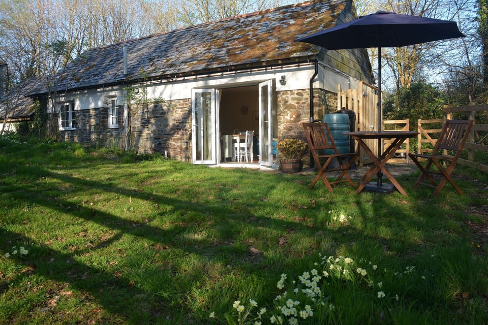 the rear garden