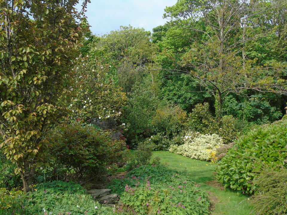 The Garden in Spring