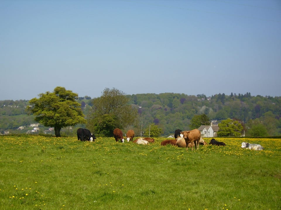 Life on the farm