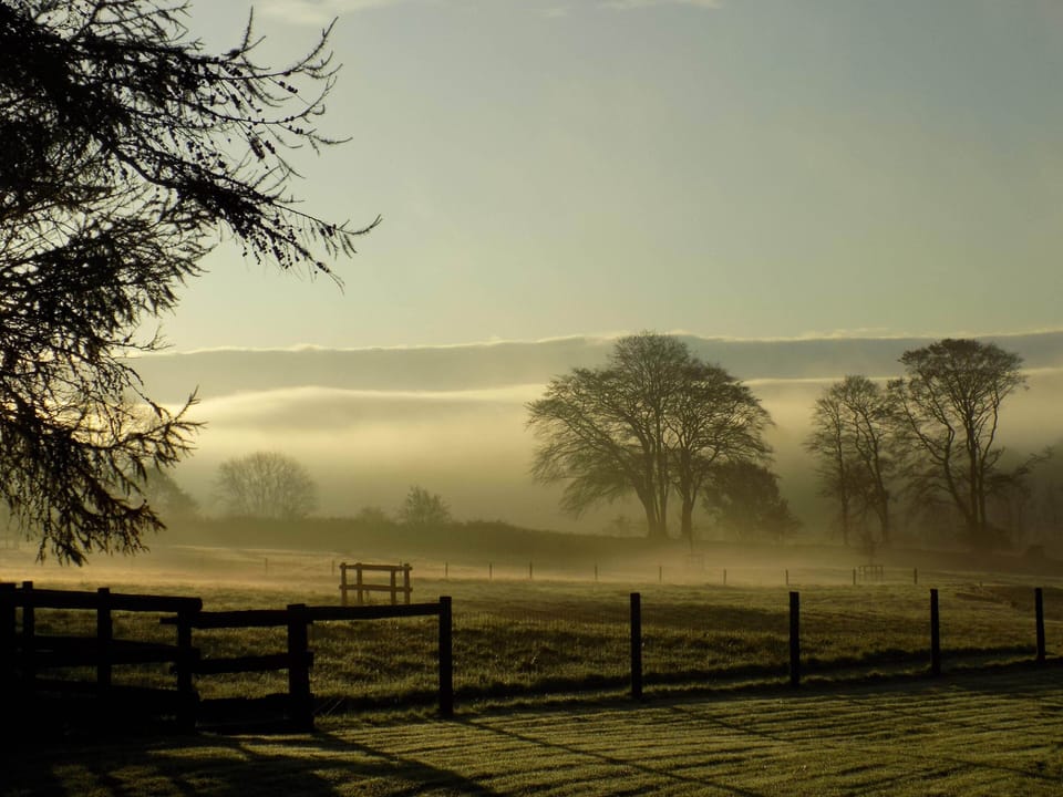 Misty morning views.
