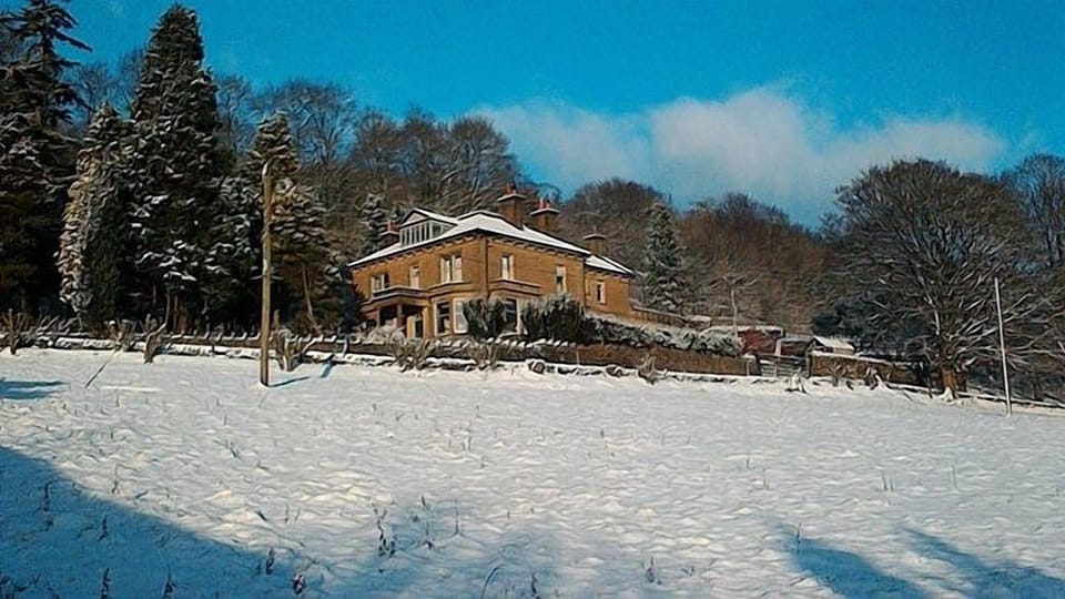 woodlands large holiday cottage