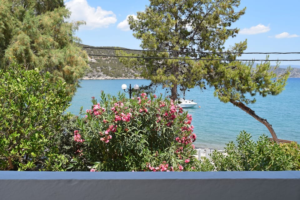 View from the veranda