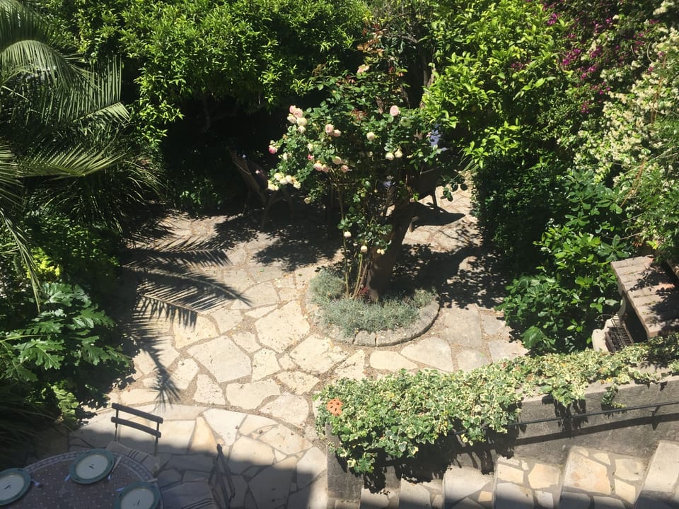 View of garden from terrace