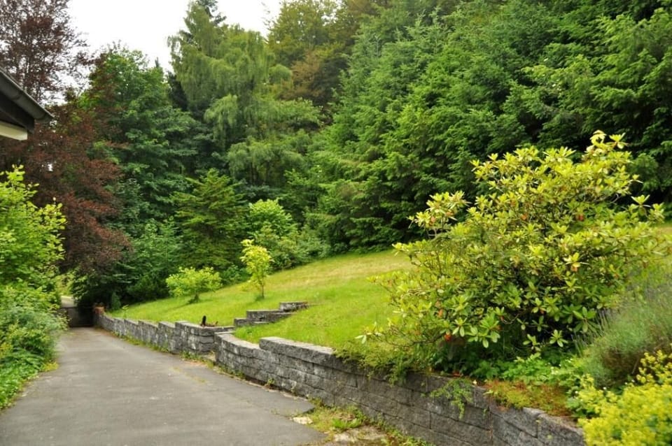 Summertime in the garden 