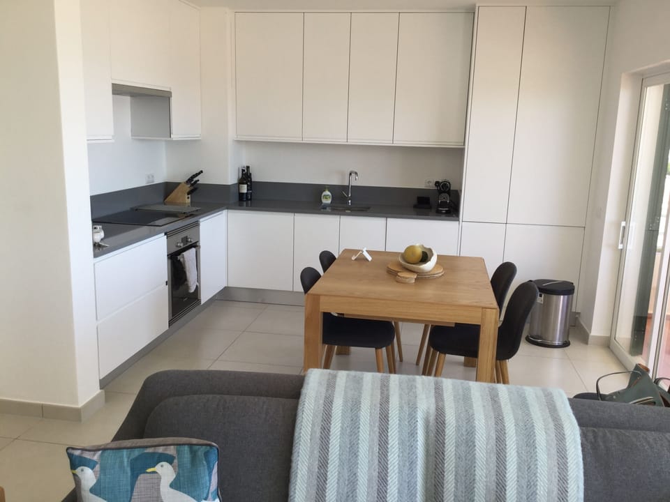 Kitchen / Living Room area 