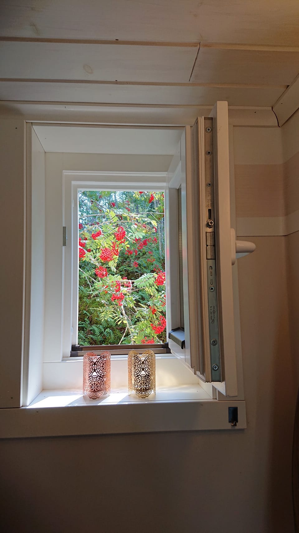 Loo with a view! 